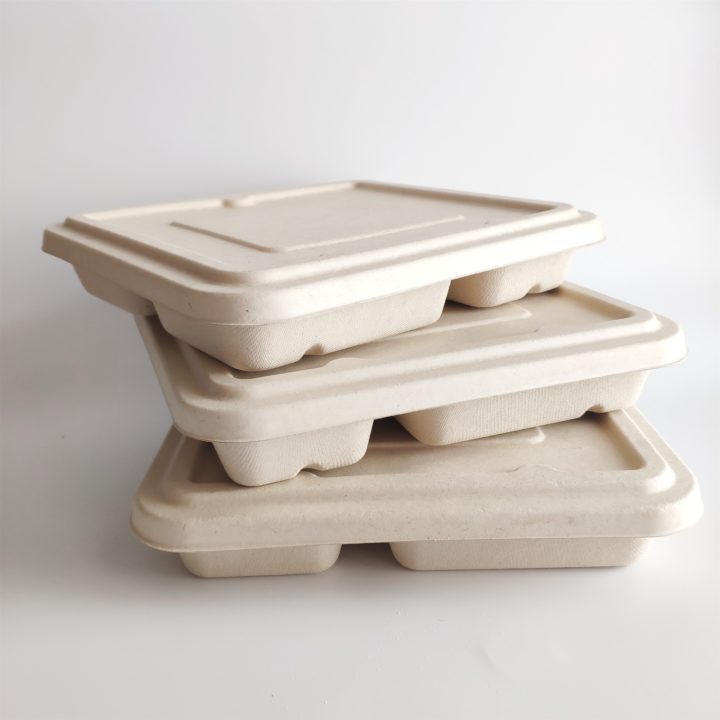 Bagasse food packaging