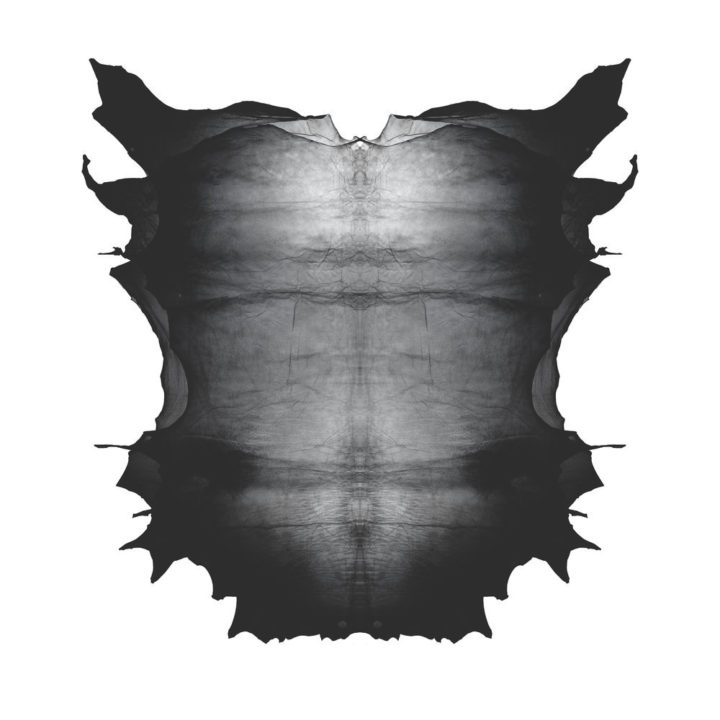 Transparent Leather Black