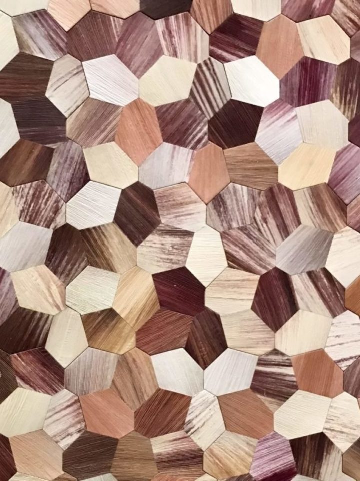 James Shaw and Stella McCartney