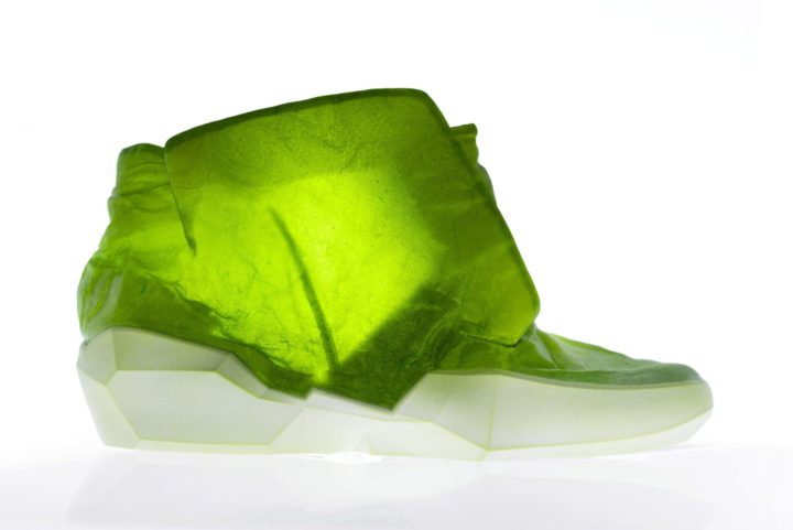 Transparent Leather Shoe