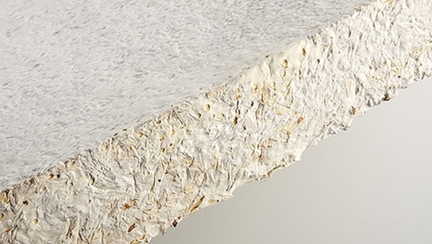 MycoFoam: mushroom based packaging