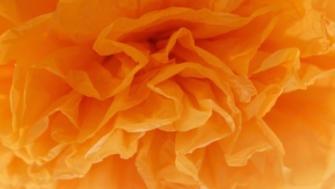 Unboxing Scented Tissues