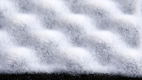 Tactility Speaks Flocking